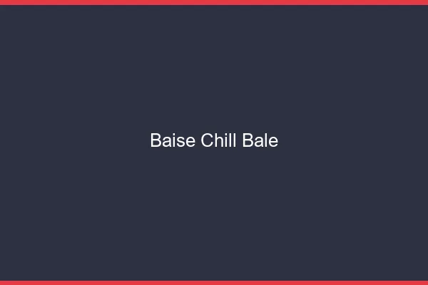 Baise Chill Bâle
