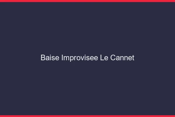 Baise Improvisée Le Cannet