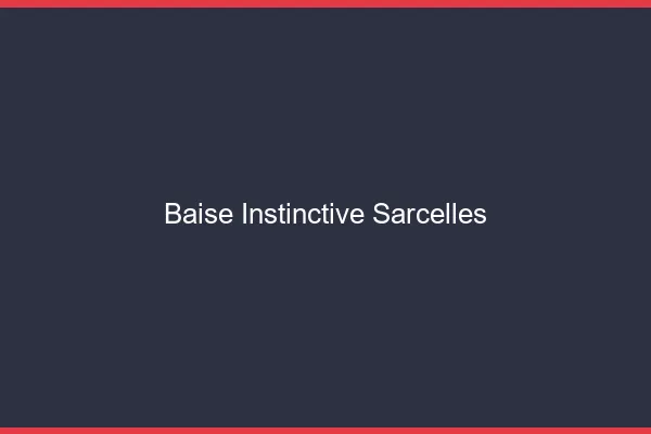 Baise Instinctive Sarcelles