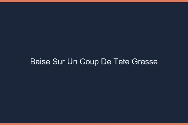 Baise Sur un Coup de Tête Grasse