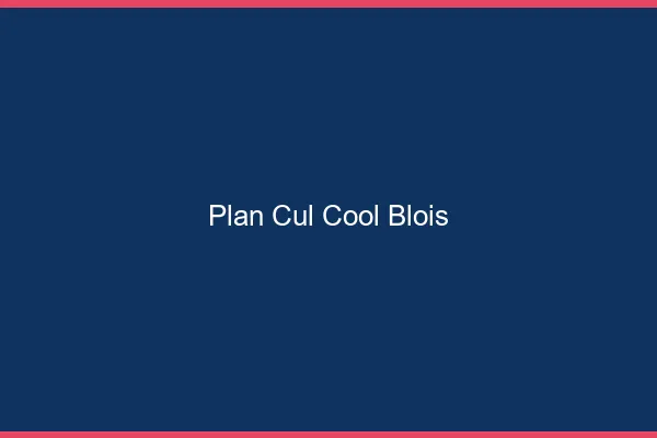 Plan Cul Cool Blois