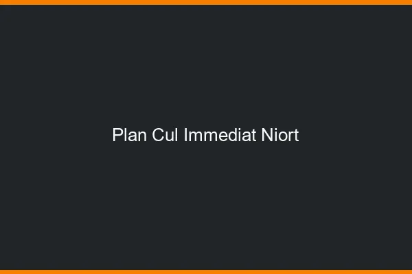 Plan Cul Immédiat Niort
