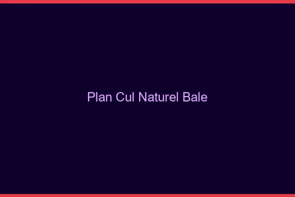 Plan Cul Naturel Bâle