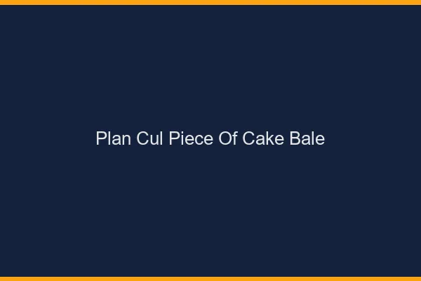 Plan Cul Piece of Cake Bâle