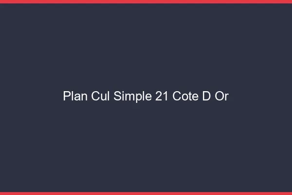 Plan Cul Simple Cote D Or