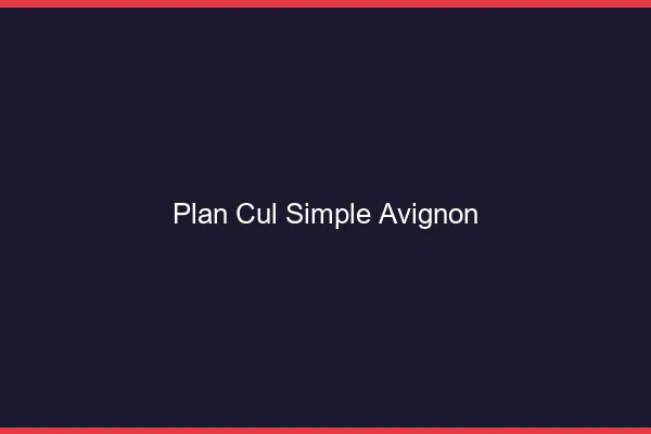 Plan Cul Simple Avignon