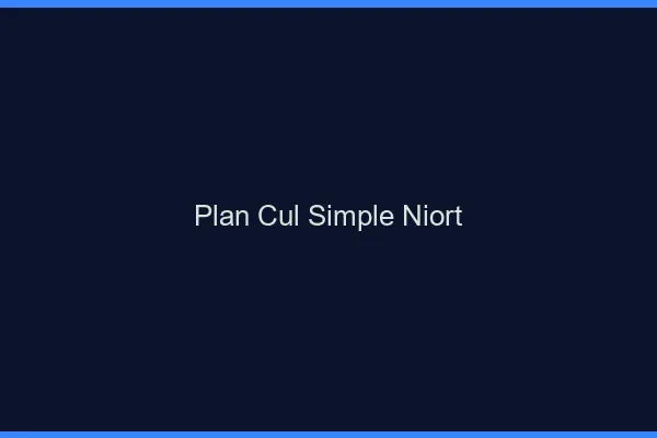 Plan Cul Simple Niort