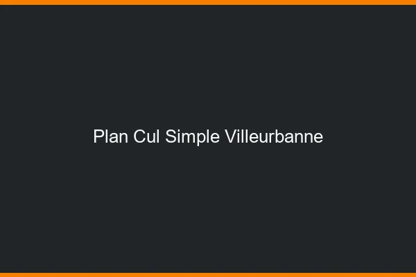 Plan Cul Simple Villeurbanne