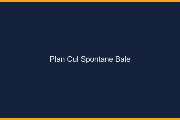 Plan Cul Spontané Bâle
