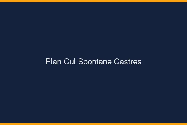 Plan Cul Spontané Castres