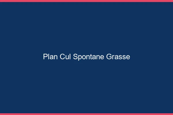Plan Cul Spontané Grasse