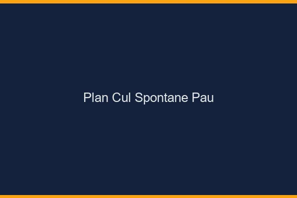 Plan Cul Spontané Pau